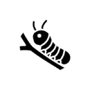 Insecticidas