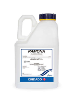 Producto de Ejemplo