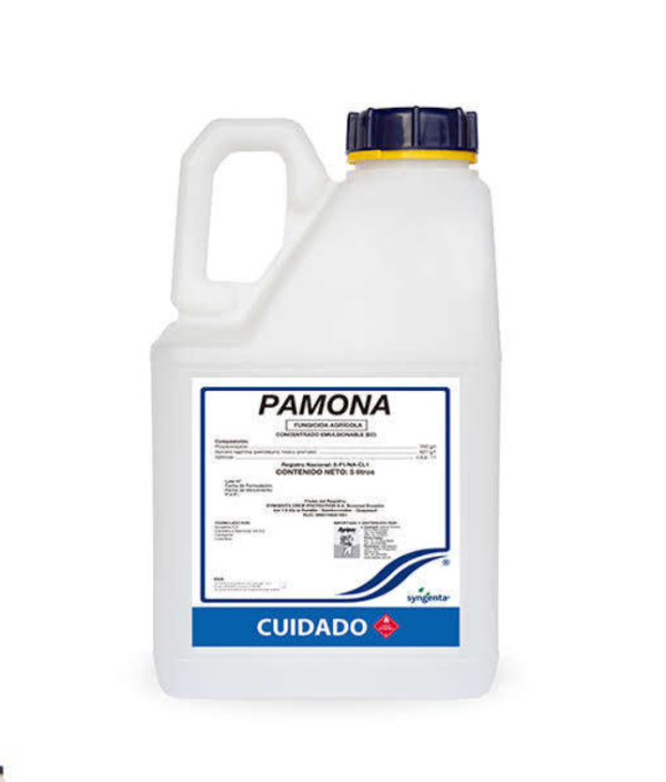 Producto de Ejemplo
