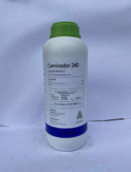 CAMINADOR 240®