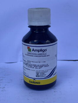 AMPLIGO