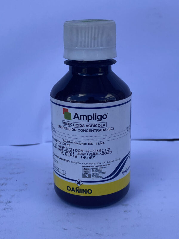 Producto de Ejemplo - Image 2